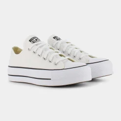 CONVERSE Sportive^560251C Chack Taylor All Star Sportive Bianco
