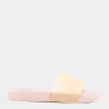 CALVIN KLEIN Ciabatte^Hw0Hw00858 - Spring Rose - Ciabatte Rosa